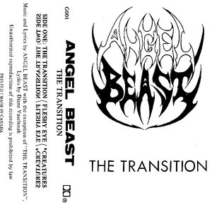 The Transition