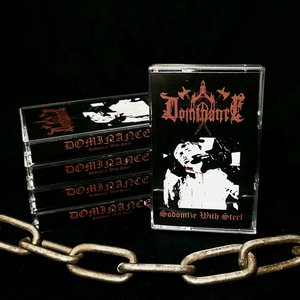 Sodomize with Steel