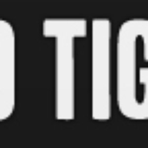 Avatar for Two Tigers