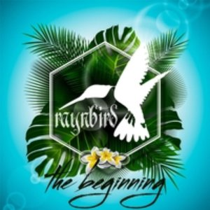 The Beginning