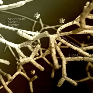 Magnesium Silicate Polymer