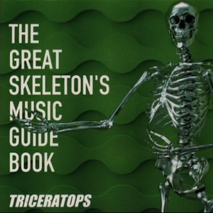THE GREAT SKELETON'S MUSIC GUIDE BOOK cover