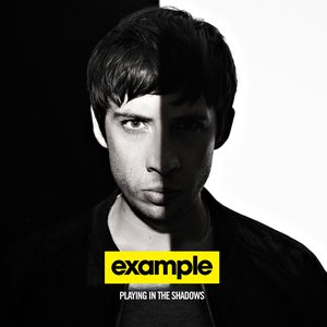 Example & Laidback Luke のアバター