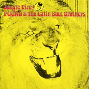 Various Artists - Jungle Fire! - Zortam Music