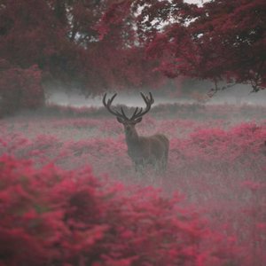 Take Me Out - Single