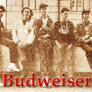 “Budweiser”的封面