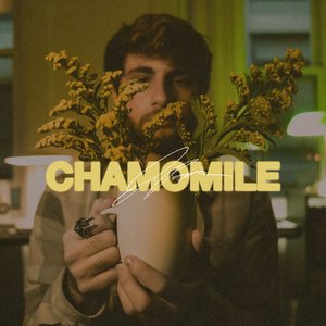 Chamomile
