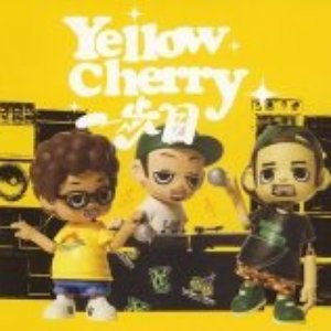 Yellow Cherry 的头像
