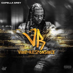 Vibe Responsibly, Vol. 1