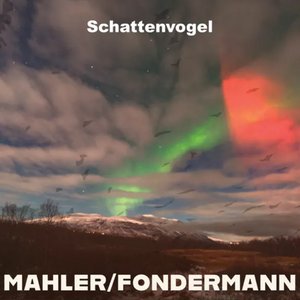 Schattenvogel