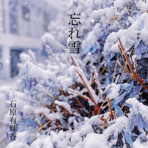 忘れ雪
