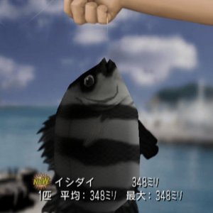 pomidori 的头像