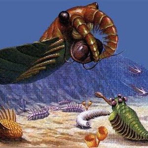 Paleobiota 的头像