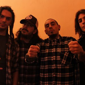 The Roots Of Tanuki 的头像