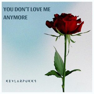 You Don't Love Me Anymore