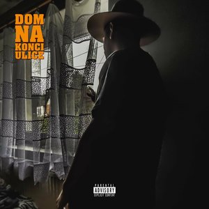 Dom Na Konci Ulice