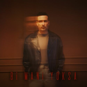 Artwork for Bi Mani Yoksa