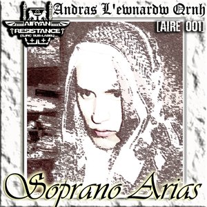 “Andras L'ewnardw Qrnh”的封面