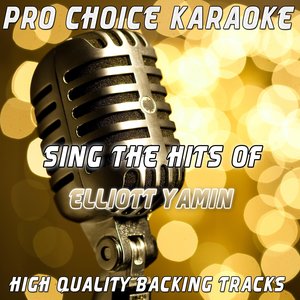 Karaoke Quick Tracks - Sing the Hits of Elliott Yamin (Originally Performed By Elliot Yamin)