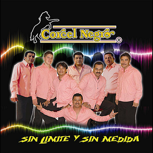 Artwork for Sin Limite y Sin Medida
