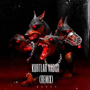 KURTLAR VADISI (Remix)