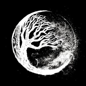 Dwell in Solitude 的头像