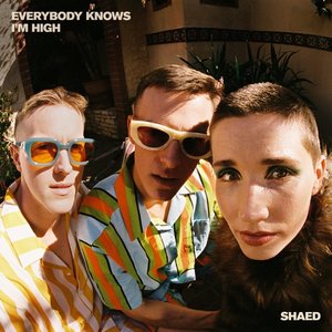 Everybody Knows I'm High - Single
