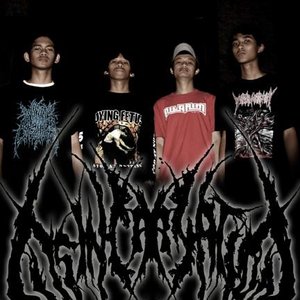 Disincarnation 的头像
