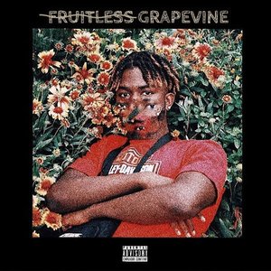 Fruitless Grapevine