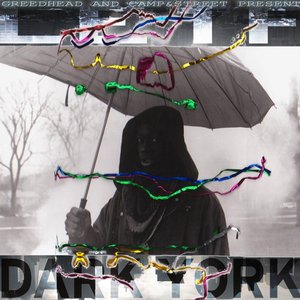 “Dark York”的封面