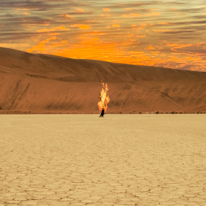 Watch What God Can Do album image