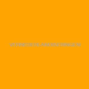 Image for 'Het Oranje Album'