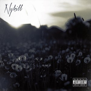 NyKill 的头像