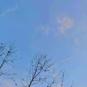 这一生关于你的风景