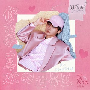 你在我喜欢的世界里（《爱你》影视剧主题曲）