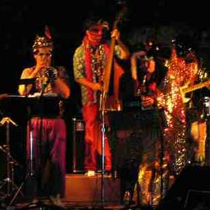 Revolutionary Snake Ensemble photo provided by Last.fm