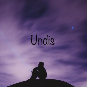 Undis 的头像