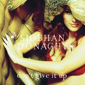 Don't Give It Up (Acoustic Version) - Single