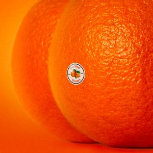 The Juice, Vol. II