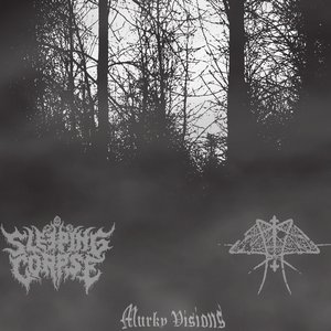 Murky Visions