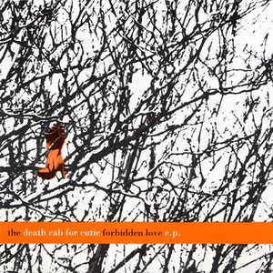 Death Cab For Cutie - We Have The Facts And We