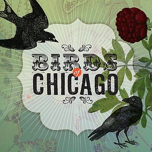 Birds of Chicago