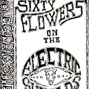 Sixty Flowers on The Electric Shields
