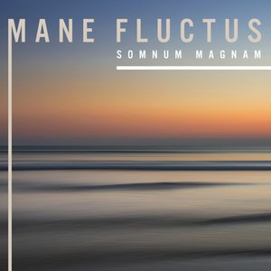 Somnum Magnam 的头像