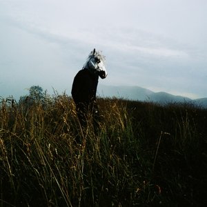 Sparklehorse 的头像