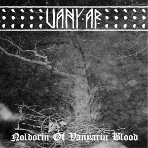 Noldorin Of Vanyarin Blood