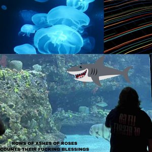 Rows of Ashes of Roses Counts Their Fucking Blessings