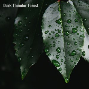 Dark Thunder 2