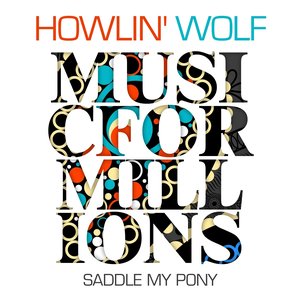 Saddle My Pony