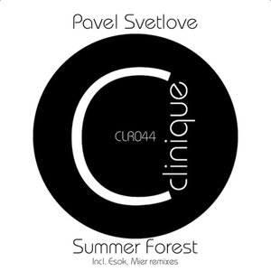 Summer Forest